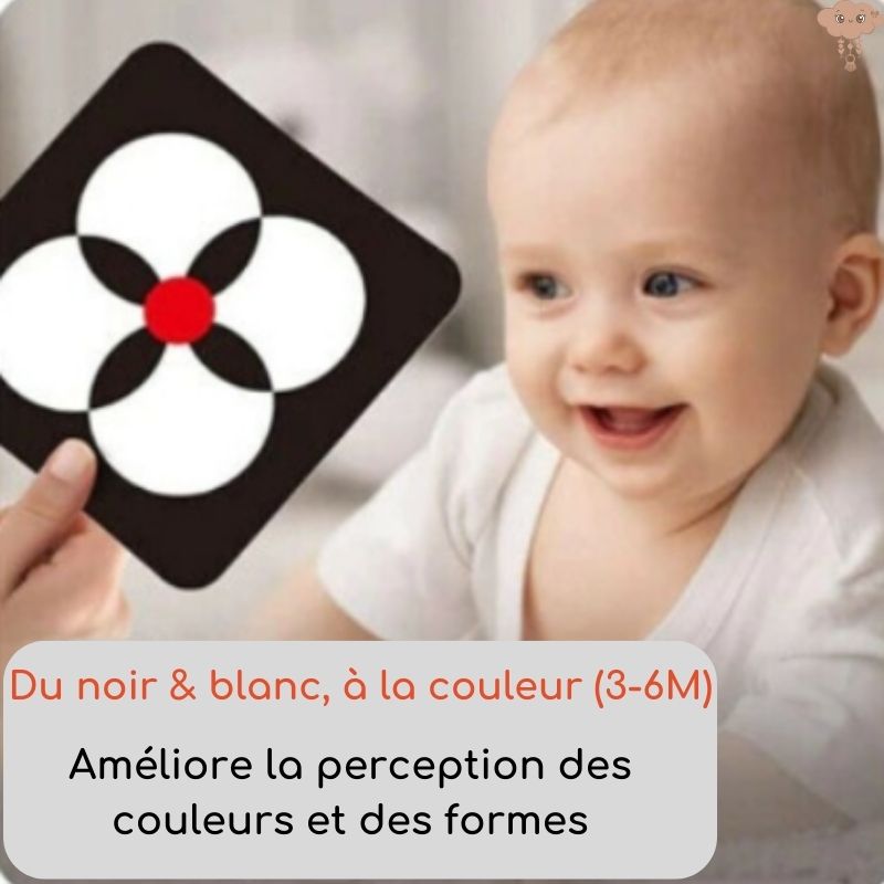 Carte flash bébé cartes de stimulation visuelle bébé 0-36 mois cartes de  vision